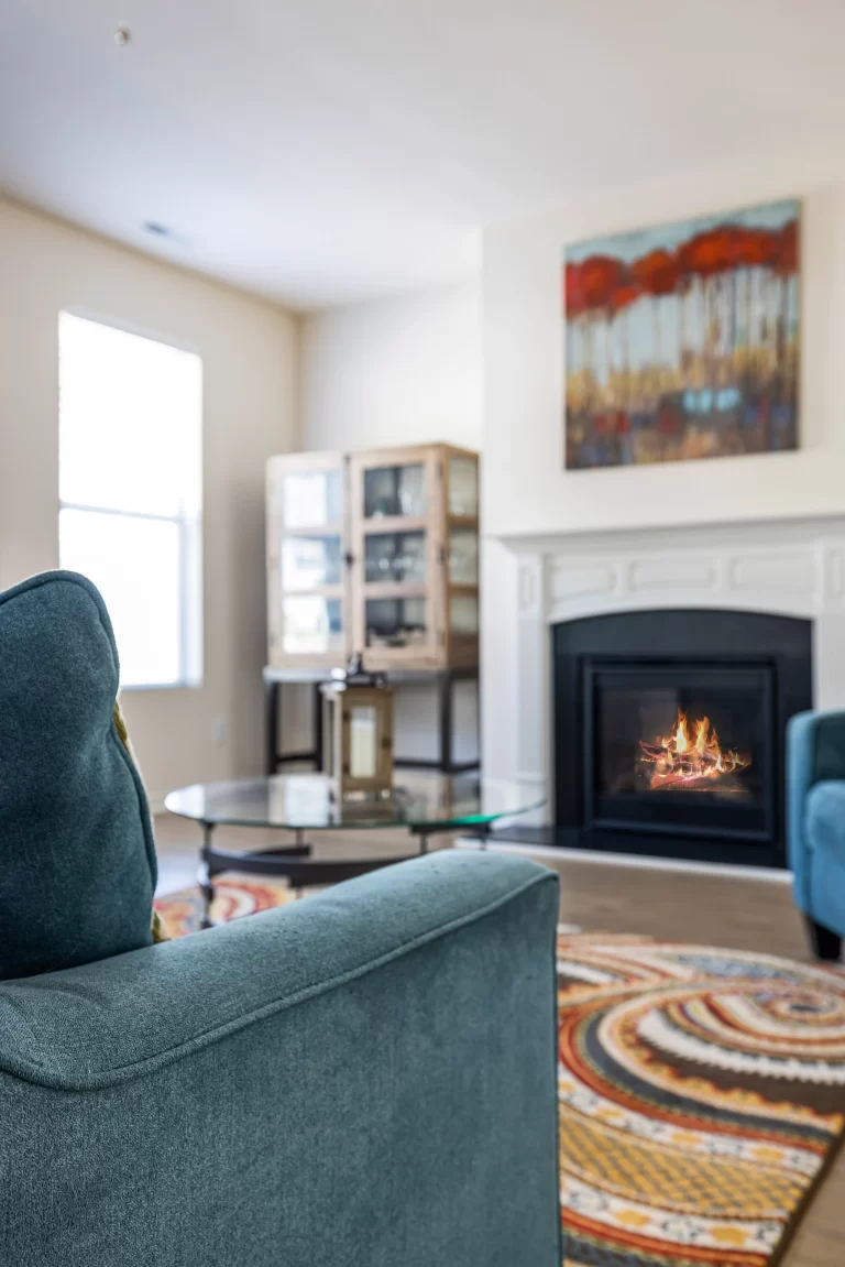 Chimney Sweep Services
